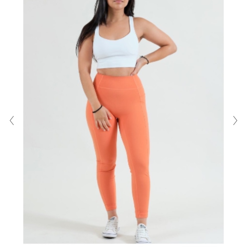 Paragon Fitwear Luxor’s Leggings Small
